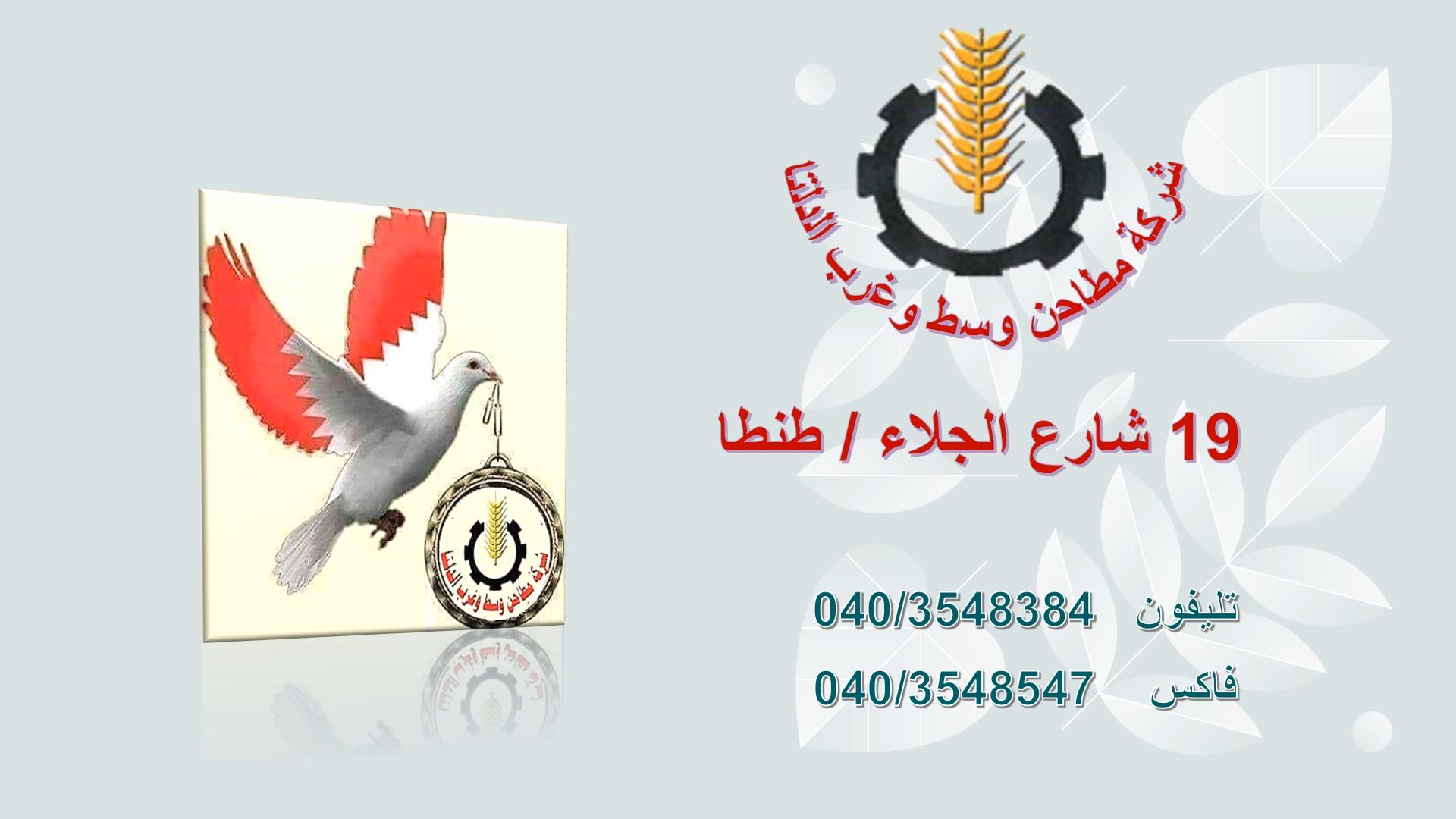 WhatsApp-Video-2025-01-06-at-12_2_layer.jpeg